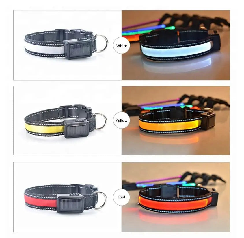 USB and Solar Charge Reflective Led Dog Collar Product vendor