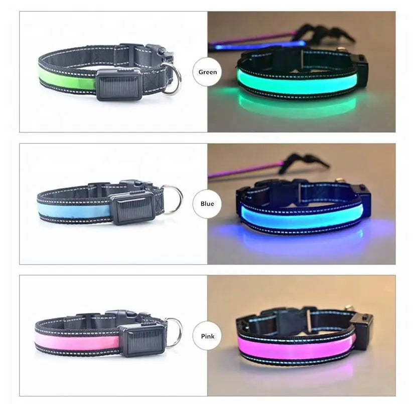 USB and Solar Charge Reflective Led Dog Collar Product vendor