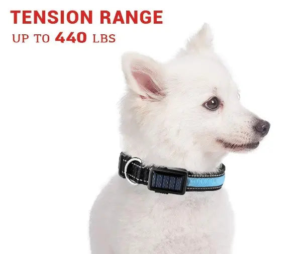 USB and Solar Charge Reflective Led Dog Collar Product vendor