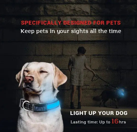 USB and Solar Charge Reflective Led Dog Collar Product vendor