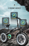Electric Bike 750W Motor Fat Tire Ebike with Samsung 48V Battery - Sacodise shop