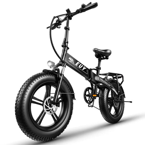 Electric Bike 750W Motor Fat Tire Ebike with Samsung 48V Battery - Sacodise shop