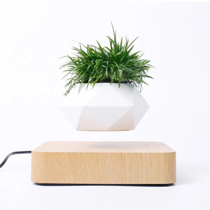 Novelty Levitating Rotation Flowerpot Magnetic Levitation FlowerPot - Sacodise shop