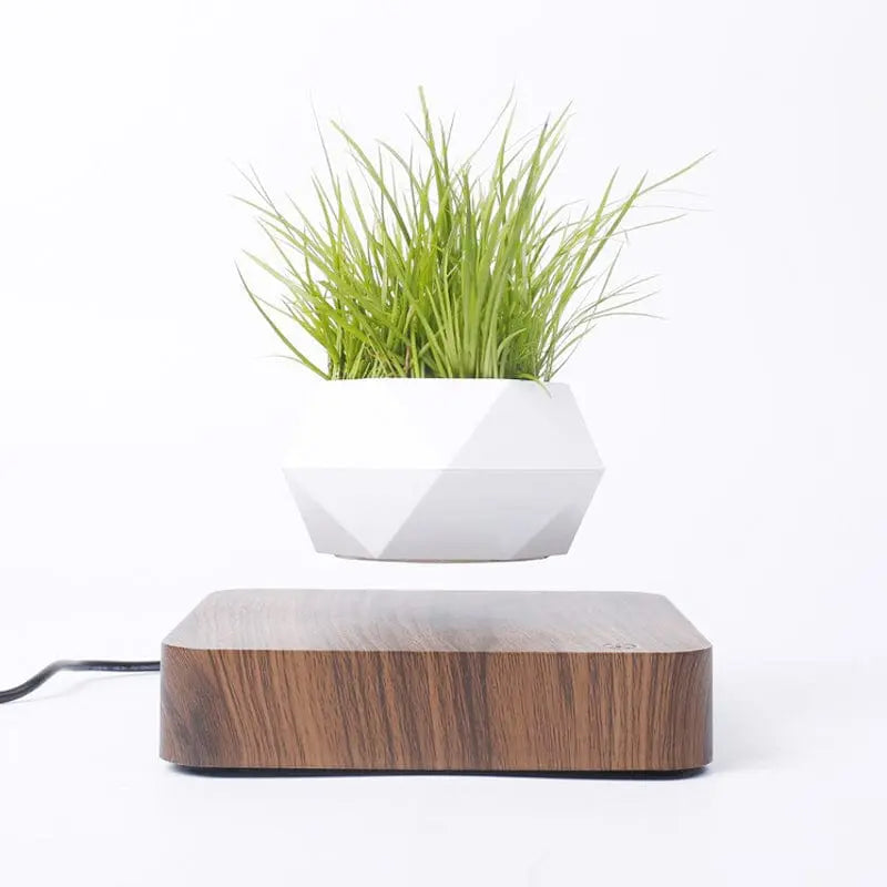 Novelty Levitating Rotation Flowerpot Magnetic Levitation FlowerPot - Sacodise shop