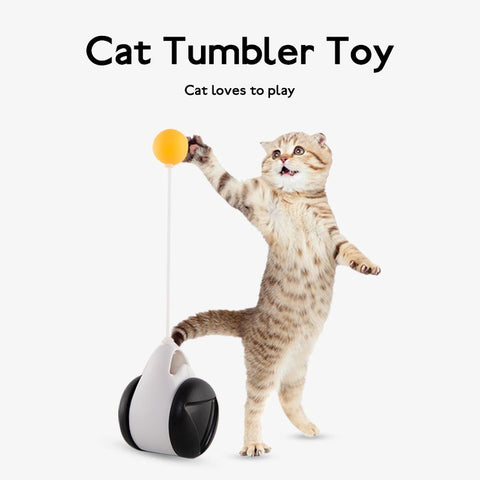 Tumbler Balanced Wheel Swinging Ball Cat Toy - Sacodise shop